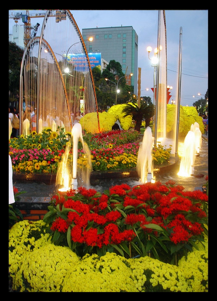 Sắc màu hoa Nguyễn Huệ
